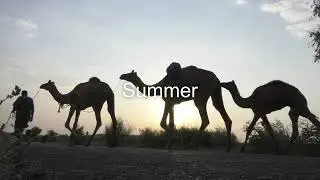 Seasons in Pakistan: Temperature and Climate by Month