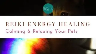 Pet Reiki Healing - Calm & Relax Your Furry Friends 🐱🐶 Sending Love & Healing for Peaceful Pets