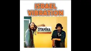 Israel Vibration lion in the jungle