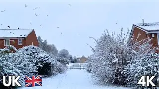 Heavy snow in the UK 🇬🇧 | Walking in the snow crunching ASMR