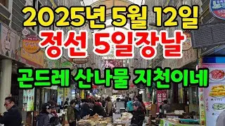 정선5일장날 / 곤드레 산나물 쏟아지고 있습니다