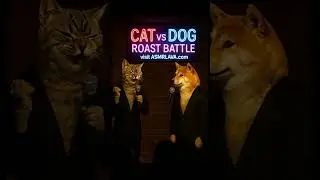 🐶😼😂 Cat vs Dog Roast-Off