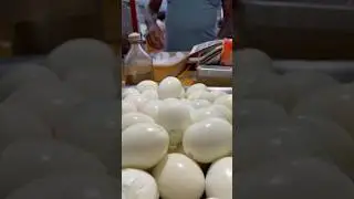 35 years old mutta 🥚 bonda kadai 🥳 | Trichy street food ❤️ | #shorts #streetfood #trichy