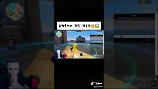 white 444 VS m19