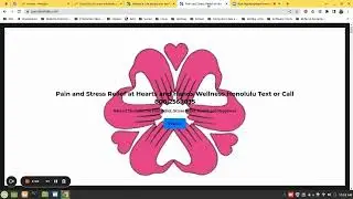 Website Traffic Report and SEO Tips for PainReliefOahu.com
