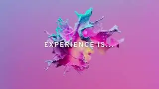 Experience Is... | Brunswick LED Video Wall Solutions