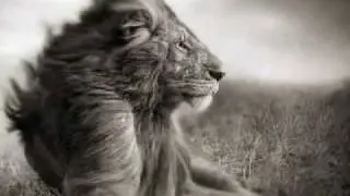 The Art of Photography