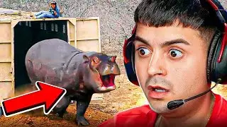 ANIMALES siendo LIBERADOS por PRIMERA VEZ 🥹🦊