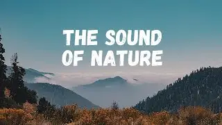 The Sound of Nature ( CINEMATIC VLOG ) Sony A7III