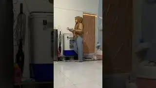 kucing ketempelan