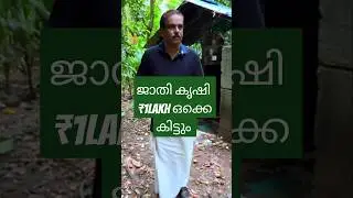 ലാഭകരമാണ് ജാതി കൃഷി! #kerala #farming #keralaagriculture #farmlife #agriculture #keralafarmers