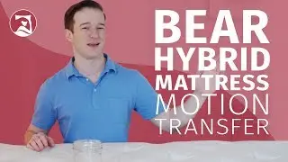 Bear Hybrid Mattress - Motion Transfer