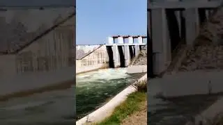 enjoying water in summer