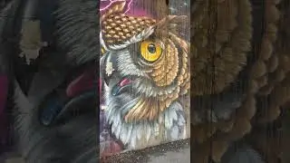 Chicago Street Art Secrets 🎨 | Hidden Murals & Iconic Walls You Need to See
