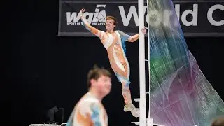 WGI 2025 — Матрица функций