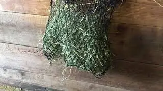 ЛУЧШАЯ СЕТКА ДЛЯ СЕНА: СКЛАДНАЯ НАСТЕННАЯ КОРМОВКА ДЛЯ СЕНА HAY HOOPS