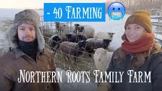 Livestock Farming in  -40 Weather!! | Northern Roots Family Farm (Mike and Amy Lewis)