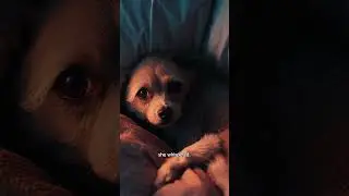 The Voice Under the Bed | Scary Story Vault
