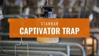 Starbar Captivator Fly Trap