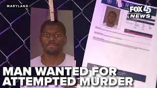 Baltimore man wanted after stabbing man during neighborhood argument