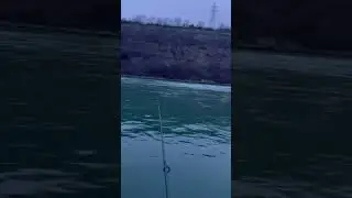 Catching my first Niagara Lake Trout was NOT easy! #niagara #fishing #laketrout