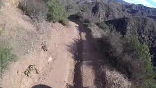Open View of Los Pineto's Forest Technical Part