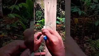 Carpenter's creative ideas form the corner of the elbow of a curved model #tips #trick #art #woods