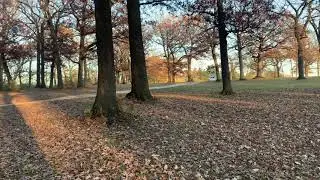 End Fall 2020 Illinois USA