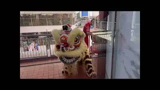 Lions 🦁 Dance 💃 for Smart Cat 🐈 Saloon 🧖 grand opening in Chinatown, Singapore 🇸🇬我的帅哥🤵发型师Jason老板生意兴隆