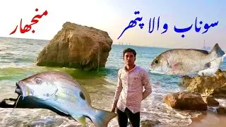 Pompano point fishing! Manjhar fishing! Sonehra fishing