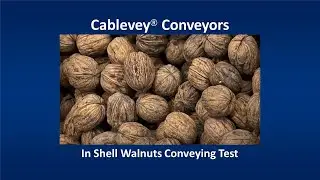 Cablevey&reg; Conveyors - In Shell Walnuts Conveying Test