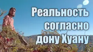 Важнейшие понятия описывающие реальность Дона Хуана из книги Виктора Санчеса. @МагическиеТропы 