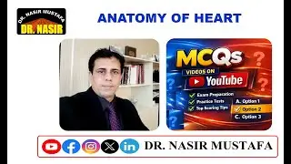 💗 MCQS ON ANATOMY OF HEART 💗