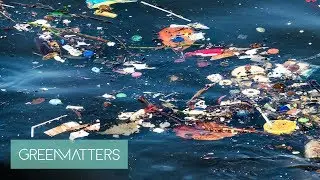 Plastic Straws Aren&rsquo;t the Most Littered Item in the Ocean, It&rsquo;s This