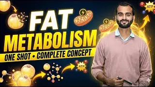 Fat Metabolism Full Explanation | One Shot for Competitive Exams