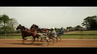 Haras d'Haufor - Christian Bigeon