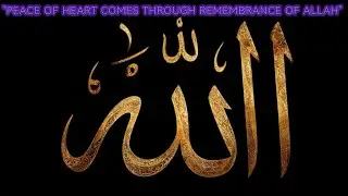 ALLAH HU WIRD | Peace of heart comes through remembrance of Allah #zikir #dhikr #allah #peace #love