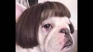cursed images with minecraft floating trees music in the background