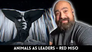 ANIMALS AS LEADERS Reaction: Classical Guitarist REACTS to ANIMALS AS LEADERS Red Miso