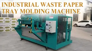 High Output Industrial Waste Paper Tray Molding Machine Solution #eggtray #paper #egg #recycle