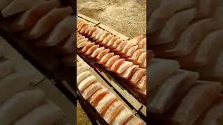 RMY Himalayan curved salt tiles production