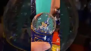 Mickey and Minnie Mini  50th Anniversary Snow Globe found in Animal Kingdom #disney