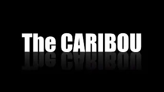 Caribou Game Bag System for Caribou or Like Sized Game