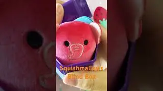 #cute #squishmallows #micromallows #blindbox