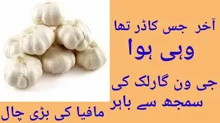 NARC G1 GARLIC BOOKING #g1 garlic # Elahi agriculture