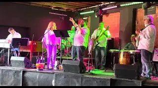 Get Up Offa That Thing James Brown by New Brown Sugar Band