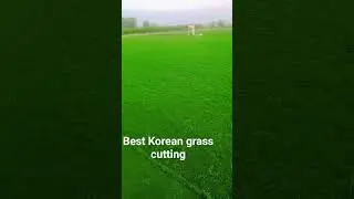 Korean grass far sales All Pakistan 0306 3503733