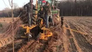How We Plant Our Shade and Flowering Trees In The Spring