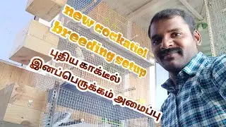 New cockatiel breeding setup || ஜோடி இனப்பெருக்க அமைவு