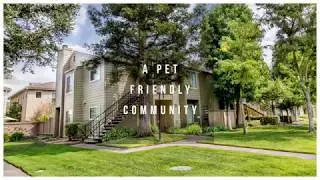 Lakeview Apartments